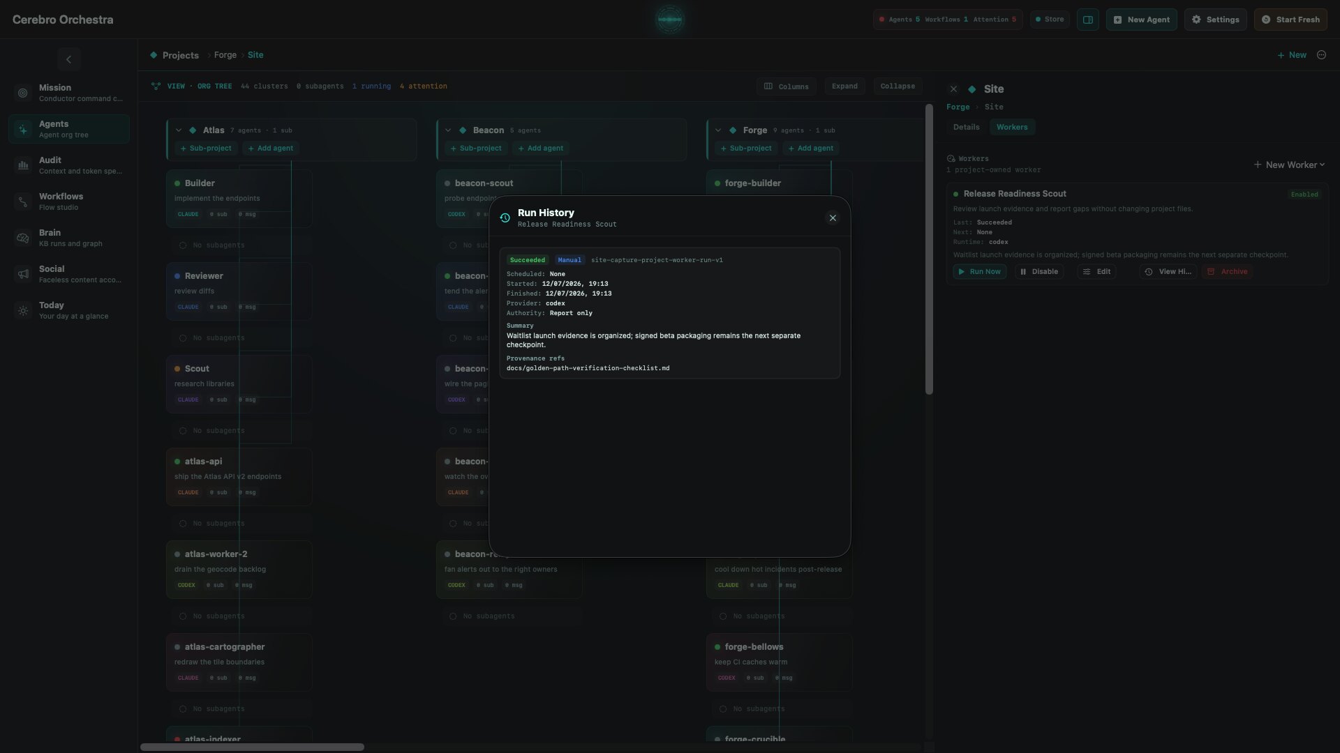 Cerebro Project Worker history showing a succeeded report-only Codex run with summary and provenance